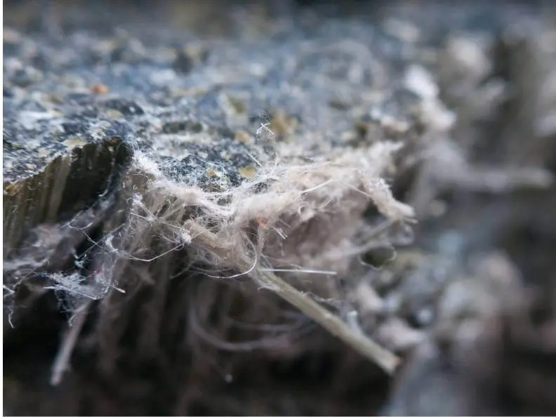 asbestos-myths-debunked