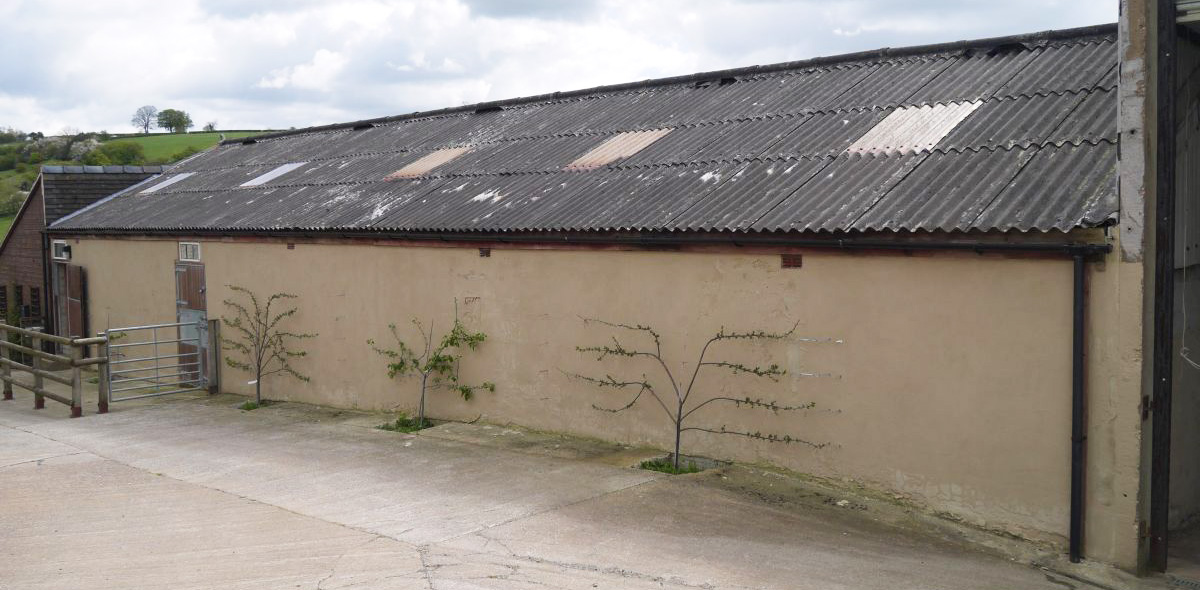 Asbestos Cement Product Barn